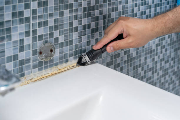 Best DIY Mold Remediation Support Services in Vernal, UT